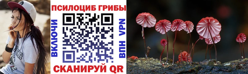 Галлюциногенные грибы MAGIC MUSHROOMS  это официальный сайт  Шумерля 