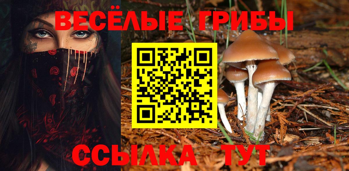 Псилоцибиновые грибы GOLDEN TEACHER Шумерля