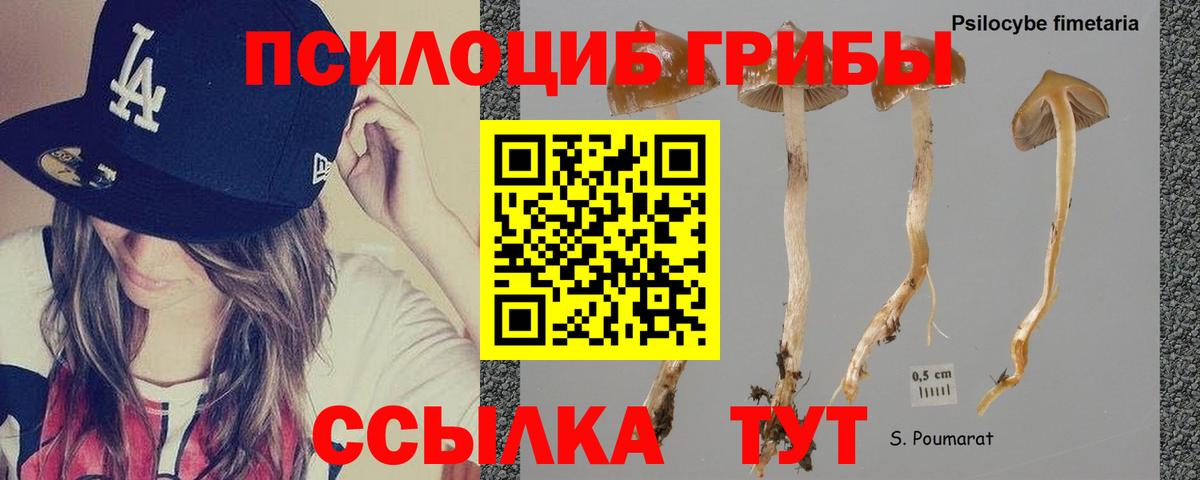 Псилоцибиновые грибы ЛСД  Галлюциногенные грибы Psilocybine cubensis  сколько стоит  Вход с VPN  Шумерля 
